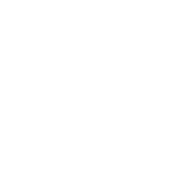 Financial Institutions