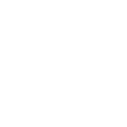 Icon representing bullet-icon