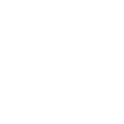 Icon representing facade