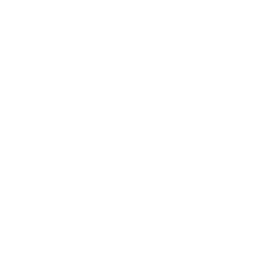 Icon representing warehouse