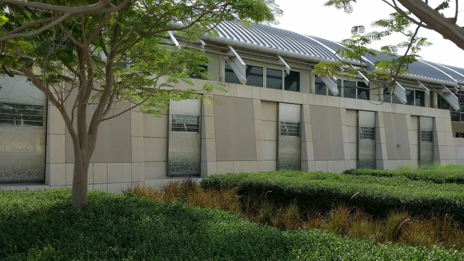 AL Shaqab Emiri Stables - Qatar - Watkins Project